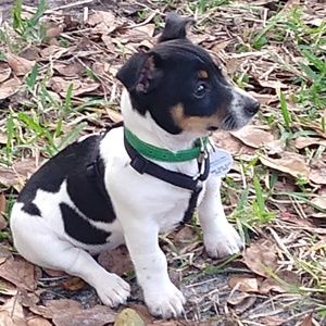 Meet your Posher, Jeannette